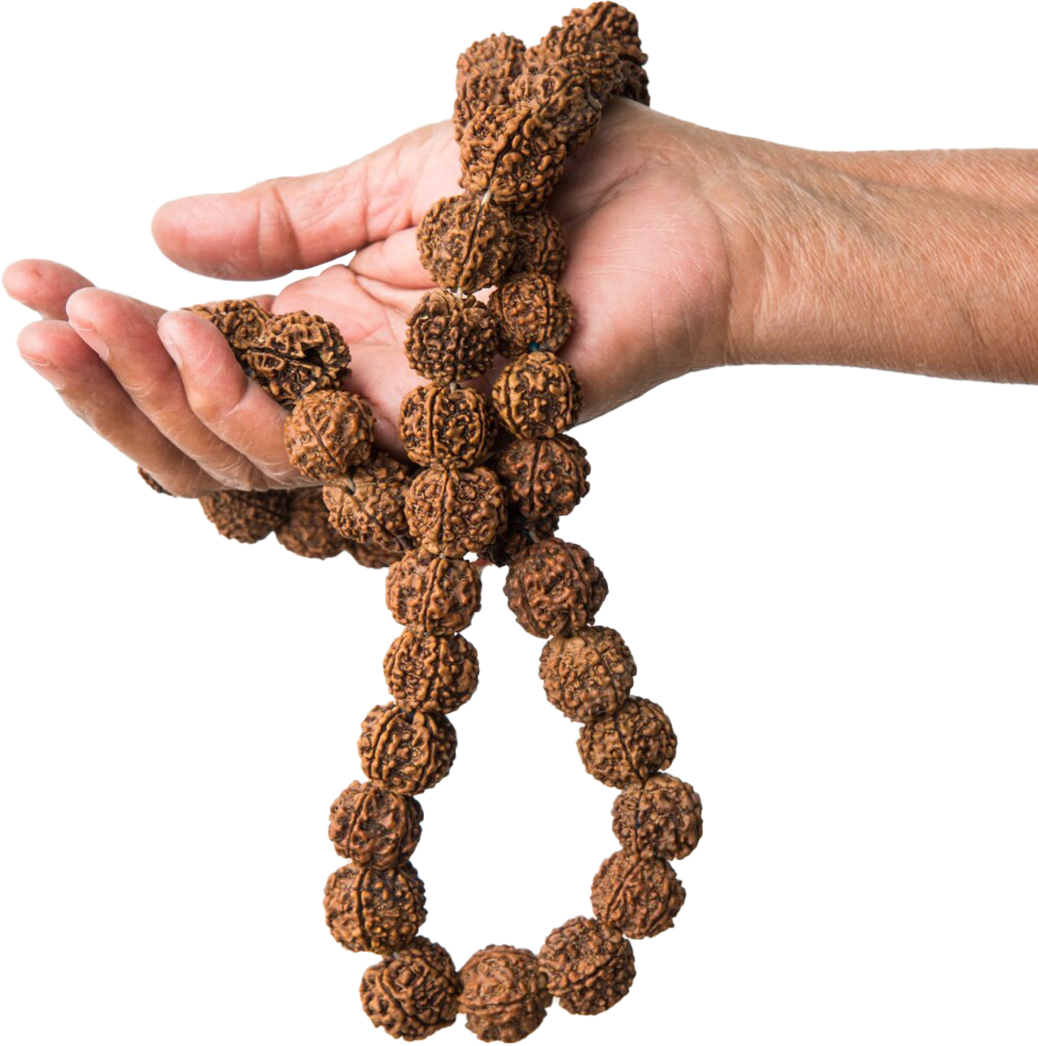 Rudraksha Hand